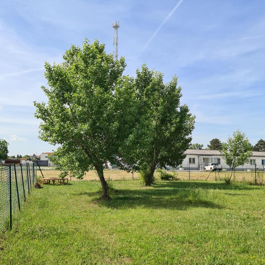 Tiny House Villa Neusiedl an der Zaya Kültér fotó